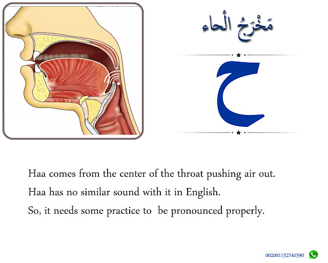 The Articulation Point of Haa ح