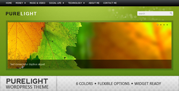 Purelight Wordpress Theme - ThemeForest Item for Sale
