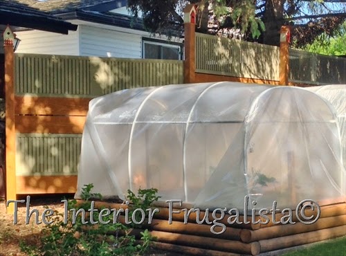 A budget-friendly DIY Privacy Fence or Garden Screen idea made with salvaged and repurposed wooden louvered bi-fold doors, a unique outdoor fence idea.