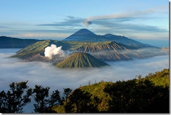 41bromo2