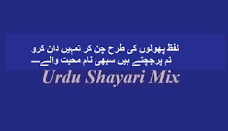 Lafz pholoon ki tarah, Love poetry, Love shayari