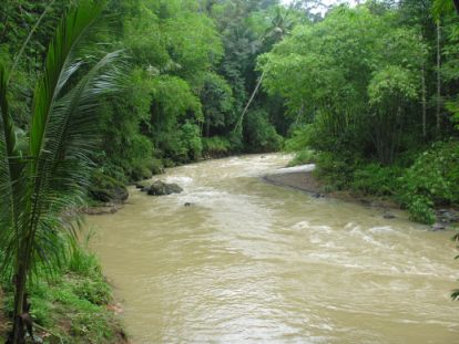  Sungai  Sendat Escapade Mari Memulihara Sungai  yang Tercemar
