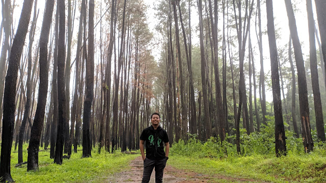 Wisata Alam Hutan Pinus Tala-Tala Maros