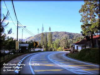 Marina Chalet and Homestay, Kampung Taman Sedia, Tanah Rata, Brinchang, Cameron Highlands,http://marinachalet.blogspot.com/