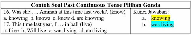 Contoh Soal Past Continuous Tense Pilihan Ganda dan jawabannya