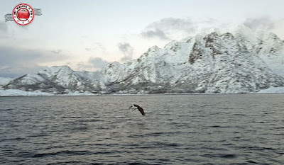 Islas Lofoten, Noruega