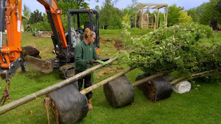 mature trees