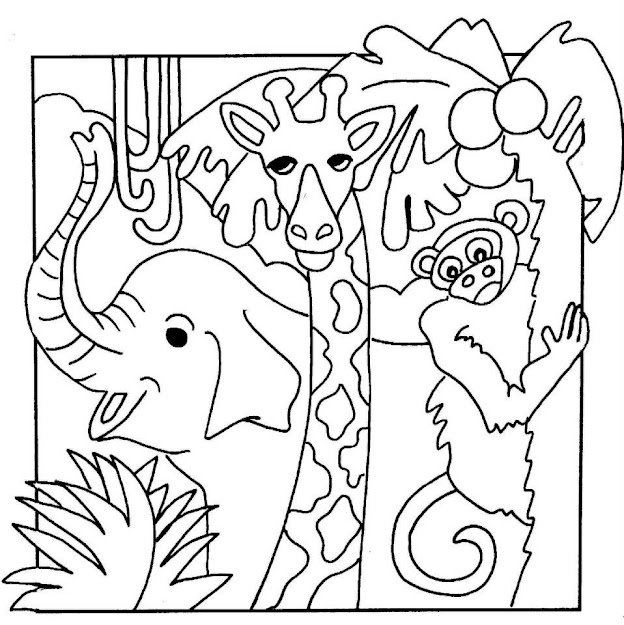 Jungle Safari Coloring Pages  Images Of Animal Coloring Pages Jungle   Gallery  Extracoloring
