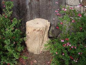 tree stump anchor for home-made guillotine