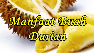 10+4 Manfaat & Khasiat Buah Durian untuk Kesehatan