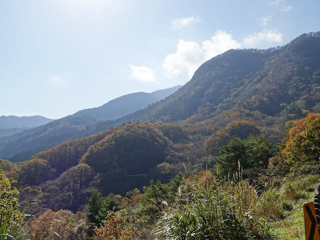 船上山の大山環状道路の眺望