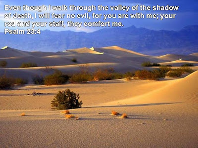 Psalm 23 4 Bible Quote