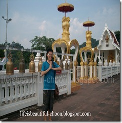 ALIM2800_wm