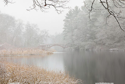 Massachusetts winter photography images