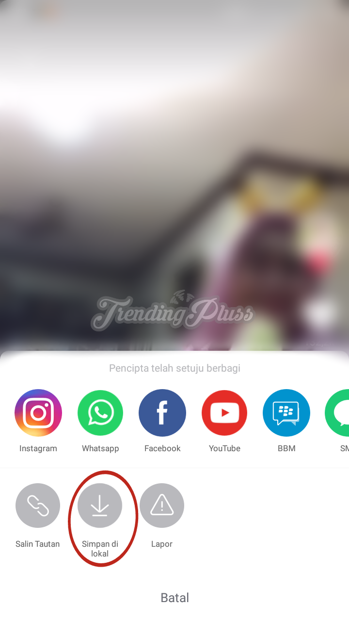 Cara Menyimpan Video Di Tik Tok Ke Galeri Android Dan Iphone