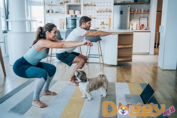 Dog Carriers: Ada Satu yang Cocok untuk Anda!