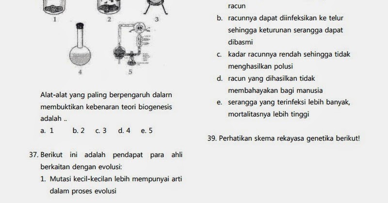 Contoh Teori Evolusi Biokimia - Frog Slinger