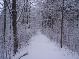 photo of Sawcut Notch Trail, Eastern Blue Hills, Quincy, MA