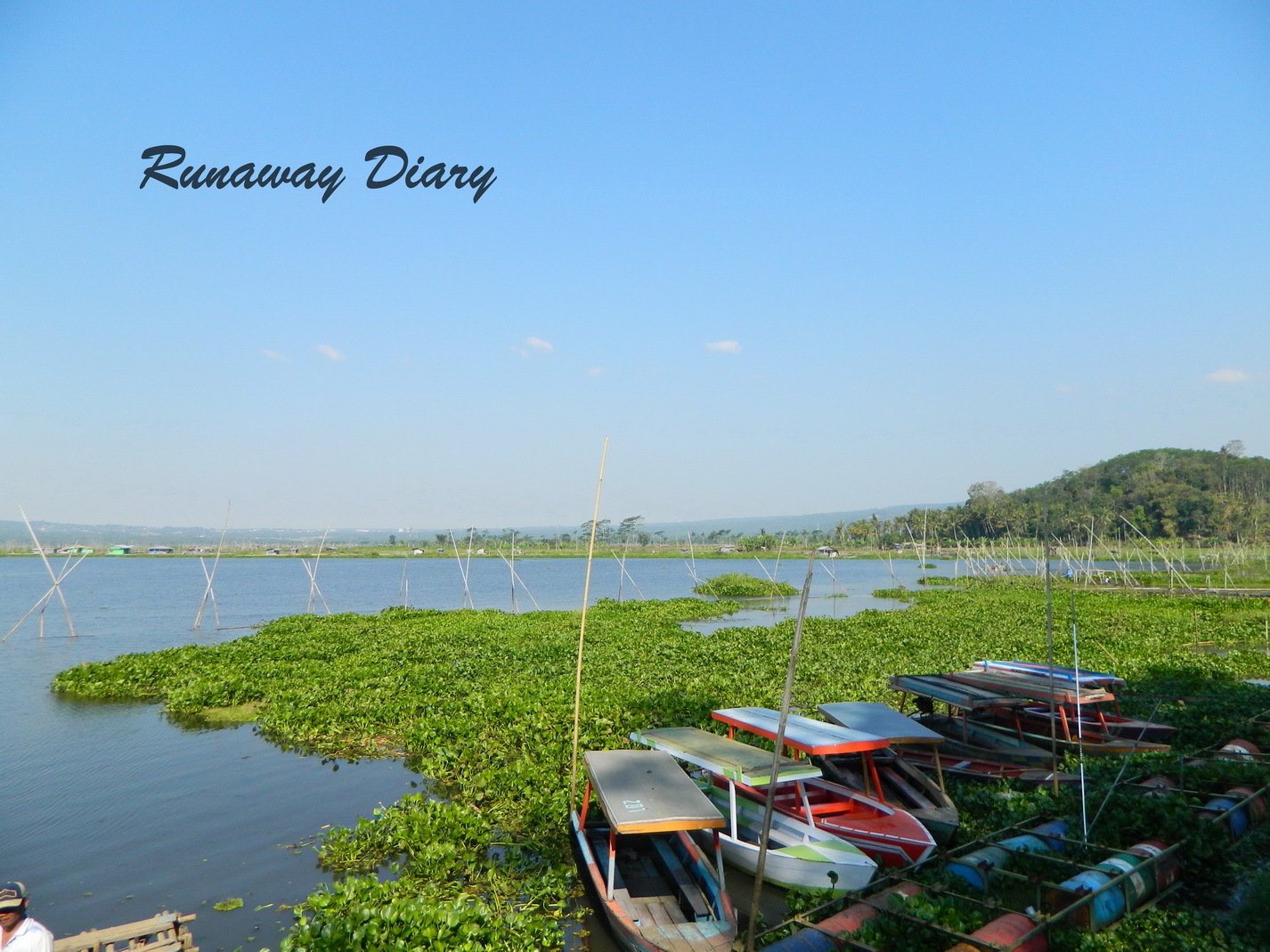 Menguak Legenda Rawa Pening