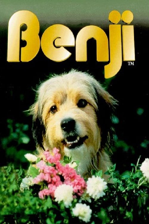 Ver Benji 1974 Pelicula Completa En Español Latino