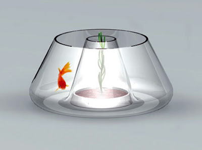 14 Creative and Cool Fishbowl Designs (14) 13