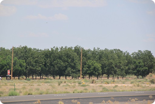 Drive from Tucson AZ to Las Cruces, NM 024
