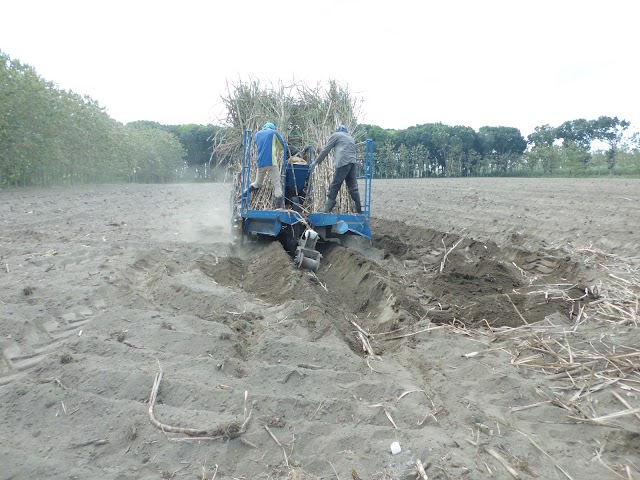 Penanaman Mekanisasi Cane Planter