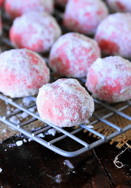 Peppermint Chocolate Chip Snowball Cookies Rolled Once in Confectioners Sugar Image