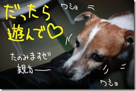 今日カズ１００１１２　２