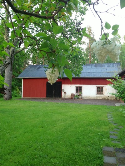 1. Trädgårdsglimt