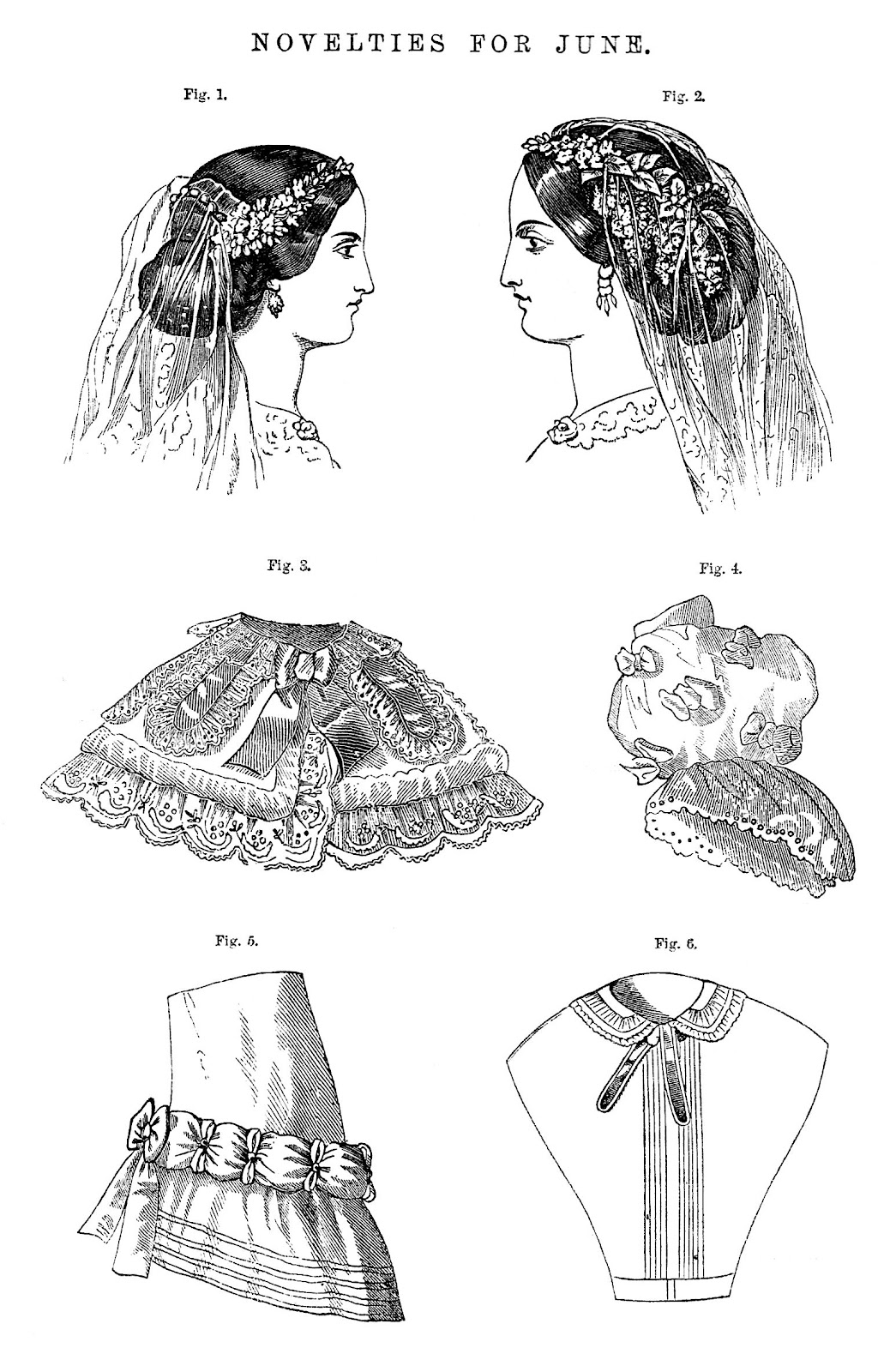 Victorian 1880 Fashion for Women