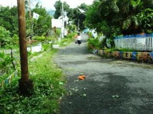 Lorong bok bawah
