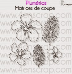 http://www.4enscrap.com/fr/les-matrices-de-coupe/329-plumerias.html