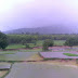 Fields during rain