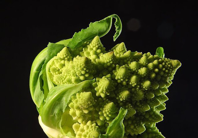 The Top 10 Weirdest Fruits and Vegetables Around the World