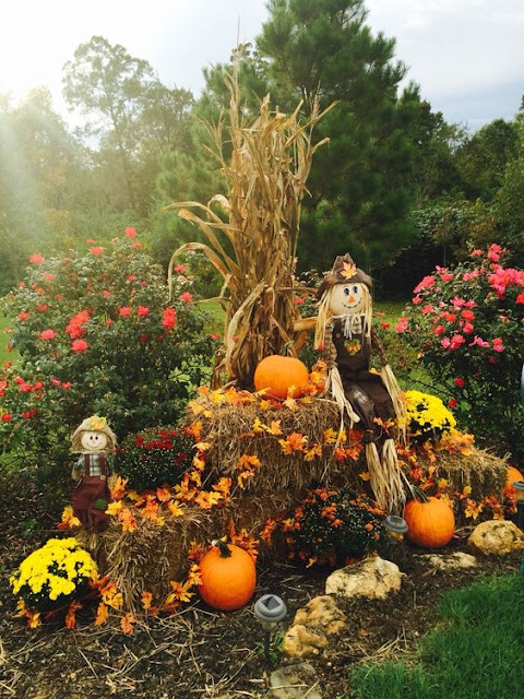 Fall yard display with scarecrow straw bale pumpkins