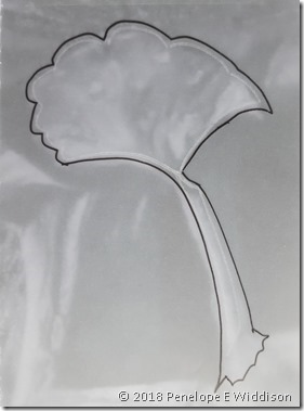 new-poppy-02-tracing_thumb7