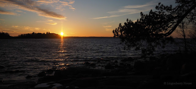 lingonberryhouse, auringonlasku, lonkeropäivä, long drink, sunset, grey day