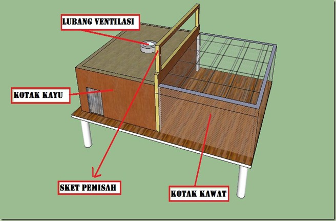 kelompok hewan ternak