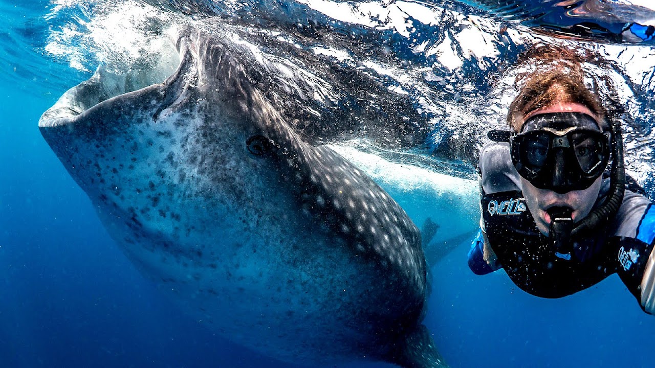 Marine Biology Questions And Answers