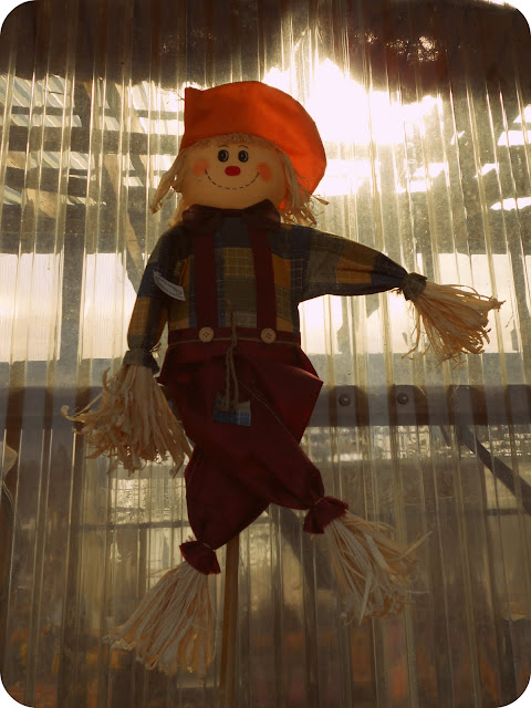 Fall Harvest Scarecrow