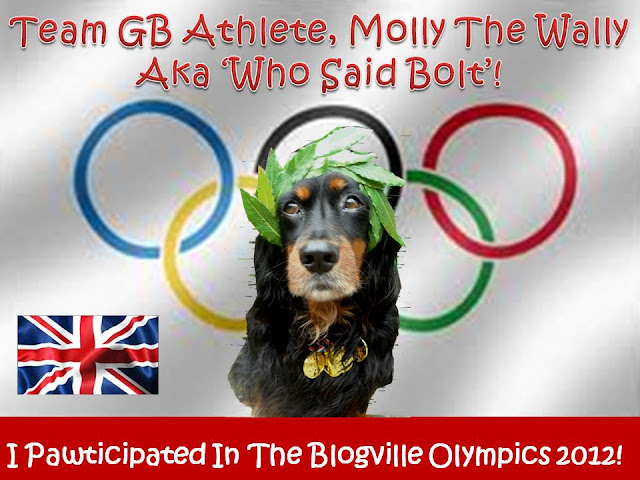 Molly The Wally & The London 2012 Olympics.