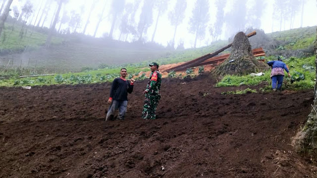 Mendorong Swasembada Pangan: Pendampingan Pertanian di Desa Wonokitri oleh Babinsa Serda Eka Putra Yuda