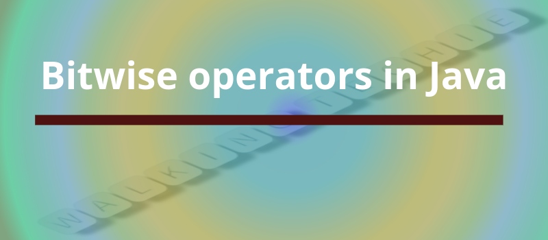 Bitwise operators in Java