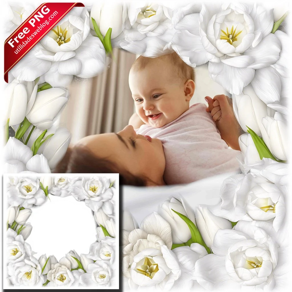 marco para fotos con flores de tulipanes blancos en png con fondo transparente para descargar gratis