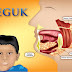 Jika Ada 'Beguk' Jangan Ke Sekolah Kata KKM.