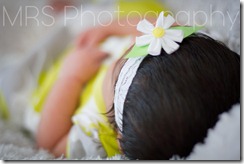 Solano County Newborn Photography-4
