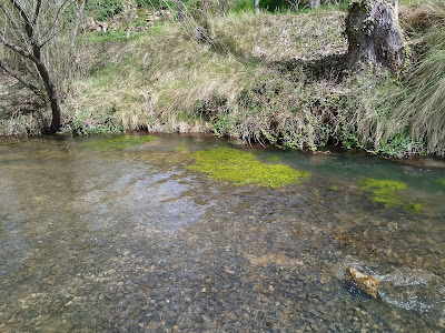 Entorno del río Ojos de Moya, también llamado río Mira a su paso por Landete (Cuenca)