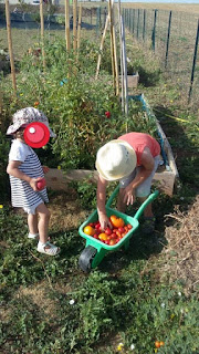 activité potager assistante maternelle