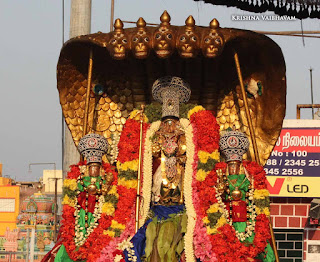 Sri Ranganatha Perumal, Pallava Utsavam, Sri Mannatha Perumal,Thirumanjanam, Purappadu,  Triplicane,  Purappadu, Thiruvallikeni, Utsavam, 